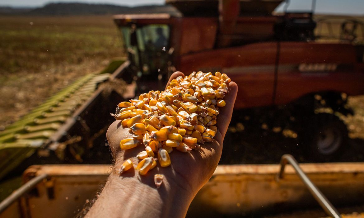 Brazílie odstraňuje dovozní daň na potraviny, aby udržela inflaci pod kontrolou