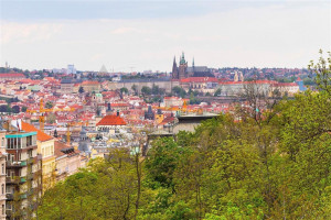 GREEN RAINBOW Ltd. - (společnost s ručením omezeným) , Praha IČO 45243875